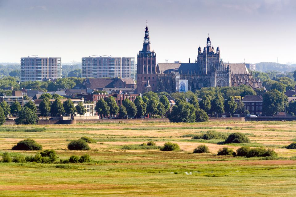 ICT bedrijf in Den bosch